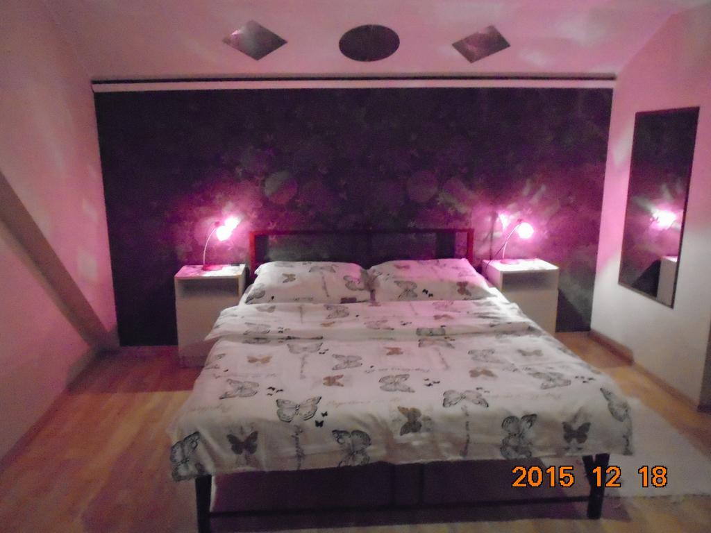Guest house Micofogado